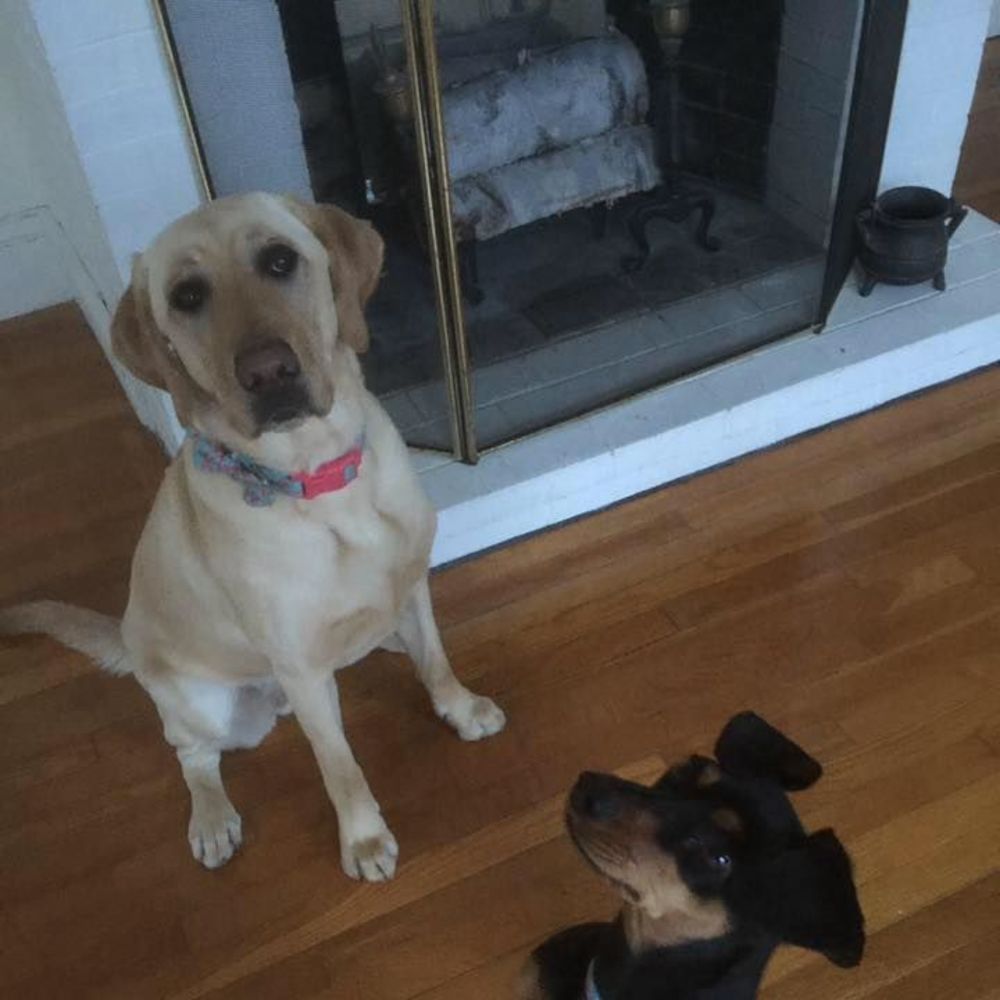 Meet your Posher, Adrienne